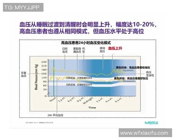 重庆乒乓球队战术解析：从技术细节到比赛策略的全面探讨